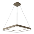BRILAGI - LED prigušivi luster na lanku FALCON SLIM LED/50W/230V 3000-6500K 50x50 cm bež + daljinski upravljač