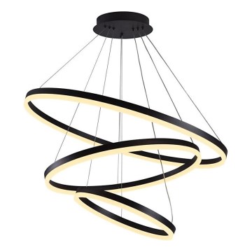Brilagi - LED Prigušivi luster na sajli CIRCLE LED/125W/230V 3000-6500K crna + daljinski upravljač