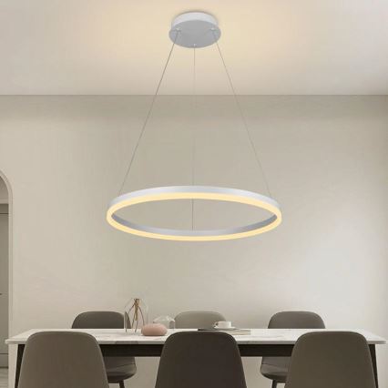 Brilagi - LED luster na sajli s mogućnošću prigušivanja CIRCLE LED/42W/230V 3000-6500K Ø 60 cm + daljinski upravljač