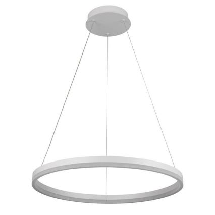 Brilagi - LED luster na sajli s mogućnošću prigušivanja CIRCLE LED/42W/230V 3000-6500K Ø 60 cm + daljinski upravljač