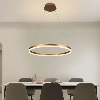 Brilagi - LED Prigušivi luster na sajli CIRCLE LED/42W/230V 3000-6500K + daljinski upravljač