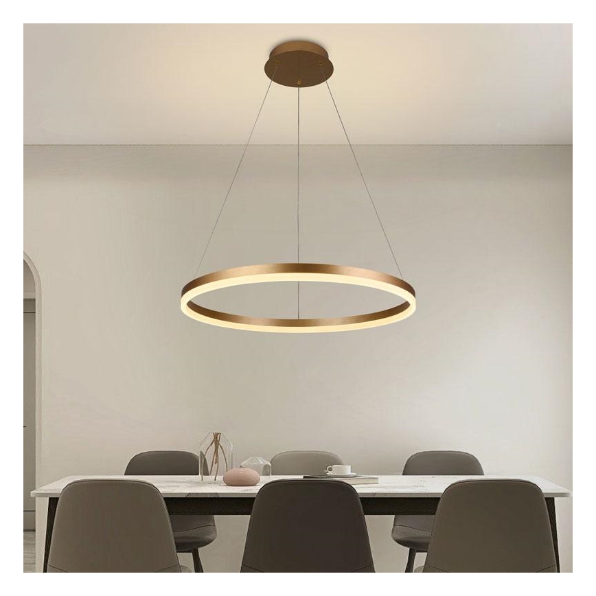 Brilagi - LED Prigušivi luster na sajli CIRCLE LED/42W/230V 3000-6500K + daljinski upravljač