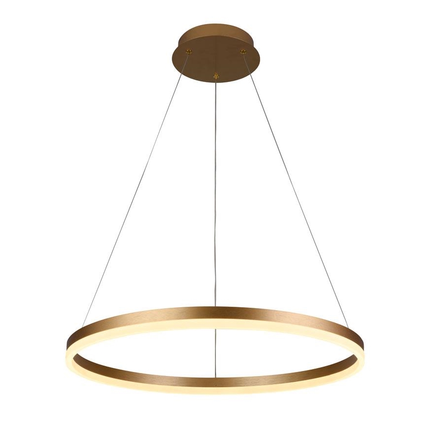Brilagi - LED Prigušivi luster na sajli CIRCLE LED/42W/230V 3000-6500K + daljinski upravljač