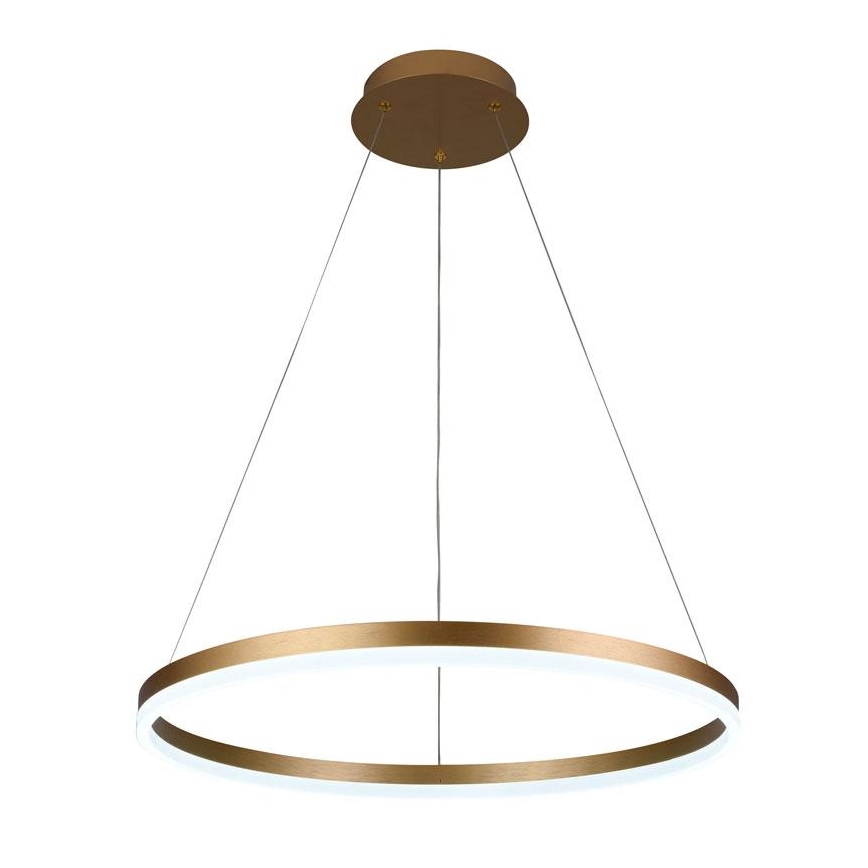 Brilagi - LED Prigušivi luster na sajli CIRCLE LED/42W/230V 3000-6500K + daljinski upravljač
