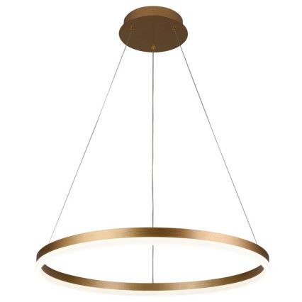 Brilagi - LED Prigušivi luster na sajli CIRCLE LED/42W/230V 3000-6500K + daljinski upravljač