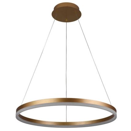 Brilagi - LED Prigušivi luster na sajli CIRCLE LED/42W/230V 3000-6500K + daljinski upravljač