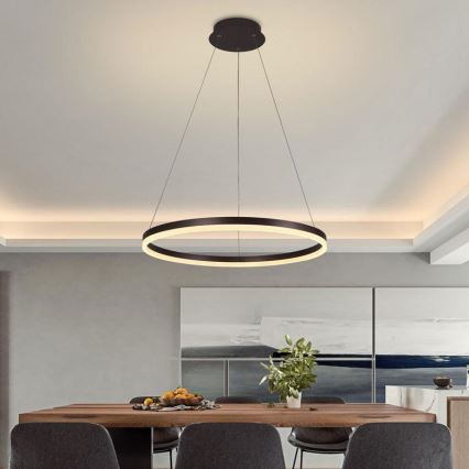 Brilagi - LED Prigušivi luster na sajli CIRCLE LED/42W/230V 3000-6500K smeđa + daljinski upravljač