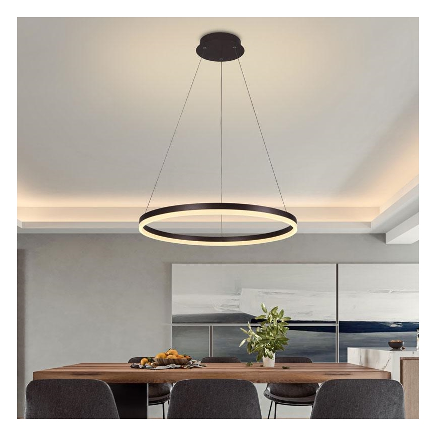 Brilagi - LED Prigušivi luster na sajli CIRCLE LED/42W/230V 3000-6500K smeđa + daljinski upravljač