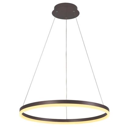 Brilagi - LED Prigušivi luster na sajli CIRCLE LED/42W/230V 3000-6500K smeđa + daljinski upravljač