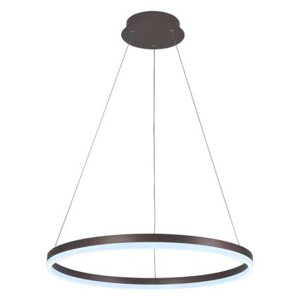 Brilagi - LED Prigušivi luster na sajli CIRCLE LED/42W/230V 3000-6500K smeđa + daljinski upravljač