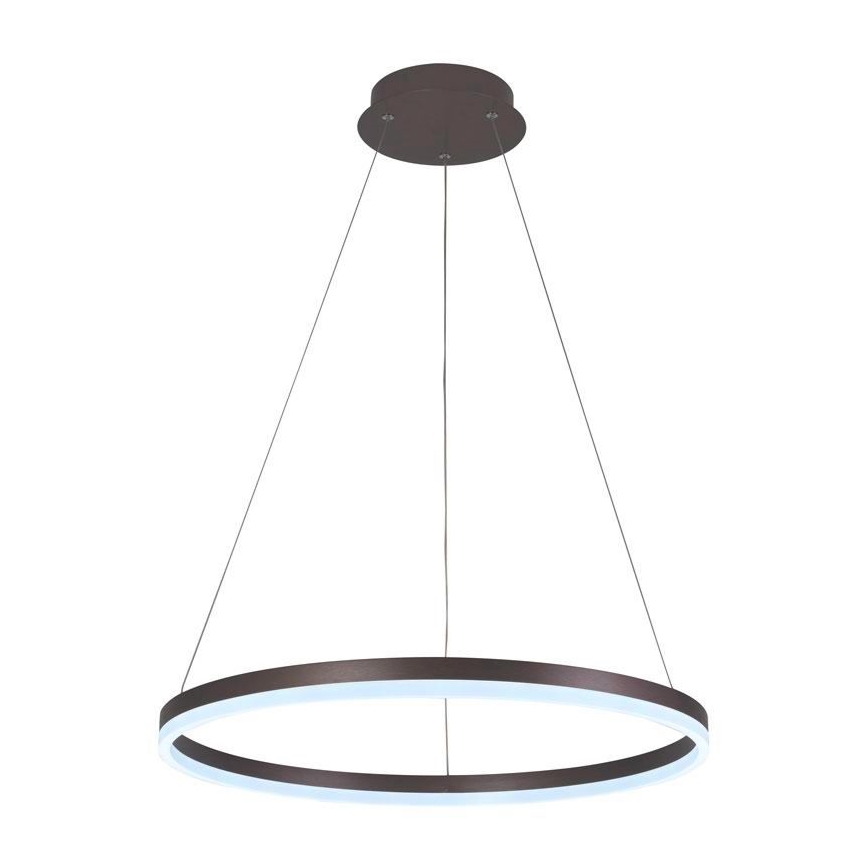 Brilagi - LED Prigušivi luster na sajli CIRCLE LED/42W/230V 3000-6500K smeđa + daljinski upravljač
