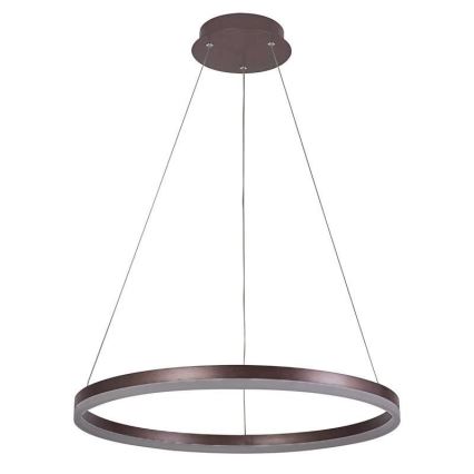 Brilagi - LED Prigušivi luster na sajli CIRCLE LED/42W/230V 3000-6500K smeđa + daljinski upravljač