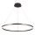 Brilagi - LED Prigušivi luster na sajli CIRCLE LED/55W/230V 3000-6500K smeđa + daljinski upravljač