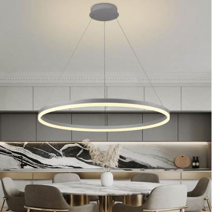 Brilagi - LED Prigušivi luster na sajli CIRCLE LED/55W/230V 3000-6500K srebrna + daljinski upravljač