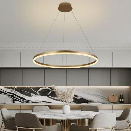 Brilagi - LED Prigušivi luster na sajli CIRCLE LED/55W/230V 3000-6500K zlatna + daljinski upravljač