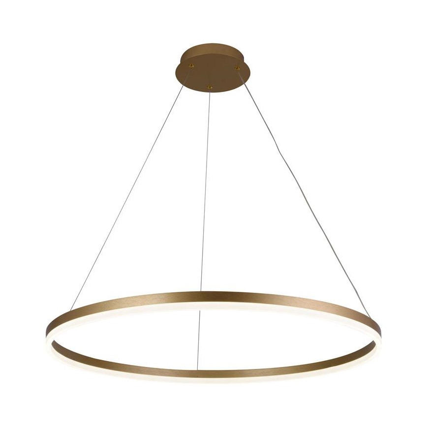Brilagi - LED Prigušivi luster na sajli CIRCLE LED/55W/230V 3000-6500K zlatna + daljinski upravljač