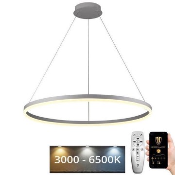 Brilagi - LED prigušivi luster na sajli CIRCLE LED/55W/230V 3000-6500K Ø 80 cm bijela + daljinski upravljač