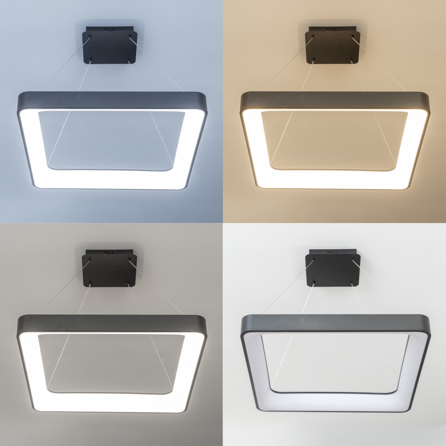 Brilagi - LED luster na sajli s regulacijom svjetline FALCON II LED/125W/230V 3000-6500K 60x60 cm crna + daljinski upravljač