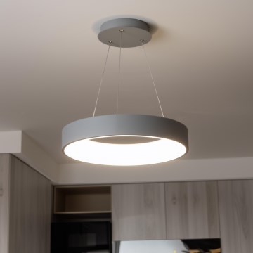 Brilagi - LED prigušivi luster na sajli FALCON LED/80W/230V 3000–6500K Ø 60 cm siva + daljinski upravljač