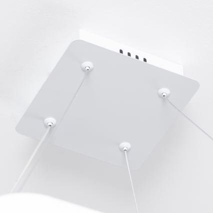 Brilagi - LED luster s mogućnošću prigušivanja na sajli FALCON SLIM LED/50W/230V 3000-6500K 50x50 cm bijela + daljinski upravljač