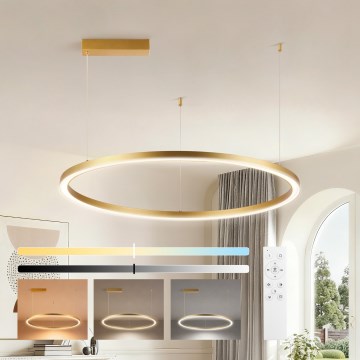 Brilagi - LED prigušivi luster na sajli PORTOFINO LED/60W/230V 3000-6000K Ø 80 cm zlatna + daljinski upravljač