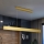 Brilagi - LED Prigušivi luster na sajli SLIMLINE LED/40W/230V 3000-6000K zlatna + daljinski upravljač