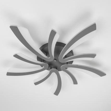 Brilagi - LED Prigušivi nadgradni luster TWIST LED/55W/230V 3000-6500K antracit + daljinski upravljač