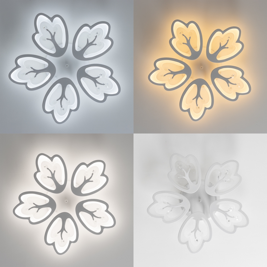 Brilagi - LED Prigušivi nadgradni luster TWIST LED/80W/230V 3000-6500K bijela + daljinski upravljač