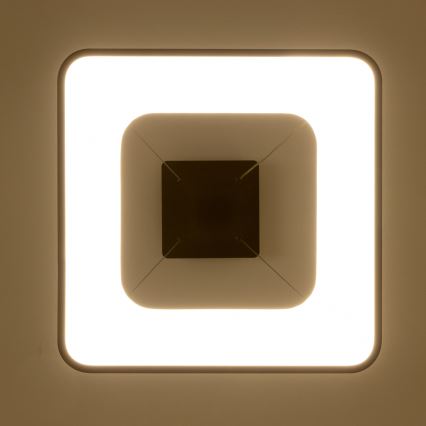 Brilagi - prigušivi LED luster na sajli FALCON II LED/80W/230V 3000-6500K 40x40 cm crni + daljinski upravljač