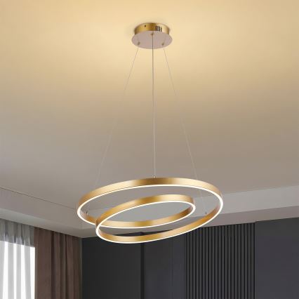 Brilagi - LED prigušivi luster na sajli TWISTER LED/48W/230V 3000-6000K Ø 50 cm zlatna + daljinski upravljač