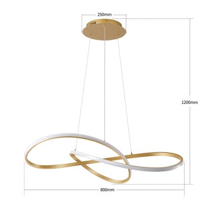 Brilagi - Prigušivi LED luster na sajli INFINITY LED/80W/230V 3000-6000K 80x80 cm zlatna + daljinski upravljač