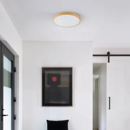 Brilagi - Prigušivo LED stropno svjetlo GLASS POOL DOUBLE LED/48W/230V 3000-6000K 40 cm dekor drva + daljinsko upravljanje