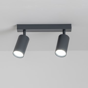 Brilagi - LED prigušivo reflektorsko svjetlo SELE 2xGU10/6,5W/230V 2700-6500K antracit