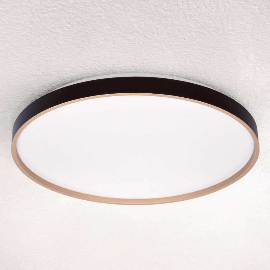 Brilagi - Prigušivo LED stropno svjetlo CALA LED/60W/230V 3000-6500K, promjer 58 cm + daljinski upravljač