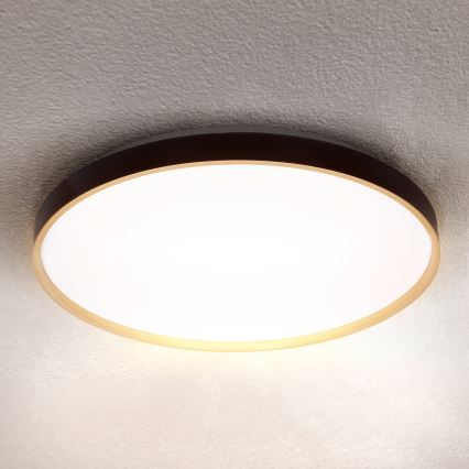 Brilagi - Prigušivo LED stropno svjetlo CALA LED/60W/230V 3000-6500K, promjer 58 cm + daljinski upravljač