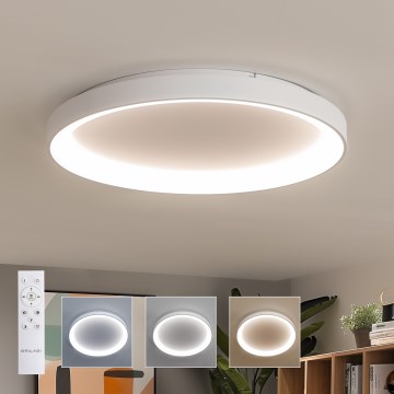 Brilagi - LED prigušivo stropno svjetlo FALCON II LED/108W/230V 3000-6500K promjera 80 cm bijela + daljinski upravljač
