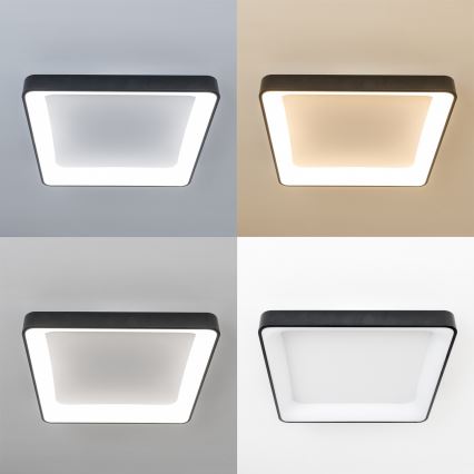 Brilagi - LED prigušivo stropno svjetlo FALCON II LED/125W/230V 3000-6500K 60x60 cm črna + daljinski upravljač