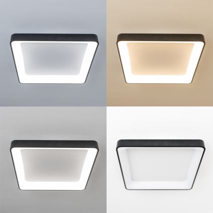 Brilagi - LED prigušivo stropno svjetlo FALCON II LED/125W/230V 3000-6500K 60x60 cm crna + daljinski upravljač