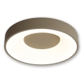 BRILAGI - LED prigušivo stropno svjetlo FALCON II LED/67W/230V 3000-6500K promjer 40 cm bež + daljinski upravljač