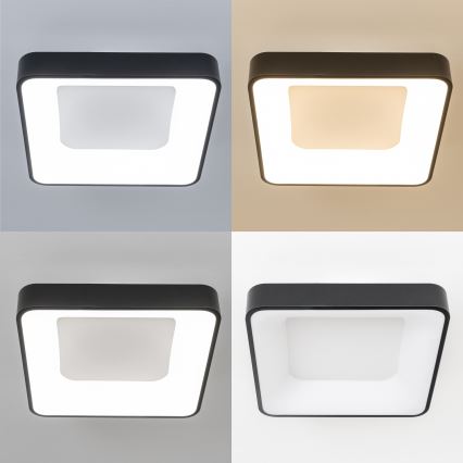 Brilagi - LED stropno svjetlo FALCON II s mogućnošću prigušivanja LED/80W/230V 3000-6500K 40x40 cm crno + daljinski upravljač