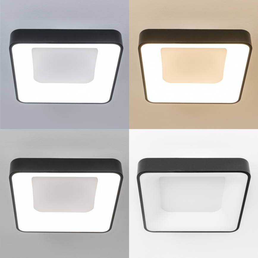 Brilagi - LED stropno svjetlo FALCON II s mogućnošću prigušivanja LED/80W/230V 3000-6500K 40x40 cm crno + daljinski upravljač