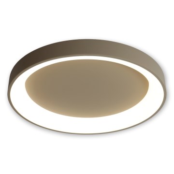 BRILAGI - LED prigušivo stropno svjetlo FALCON II LED/99W/230V 3000-6500K Ø 60 cm bež + daljinski upravljač