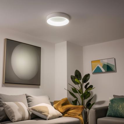 Brilagi - LED stropno svjetlo s mogućnošću prigušivanja FALCON LED/40W/230V 3000-6500K promjer 45 cm bijelo + daljinski upravljač