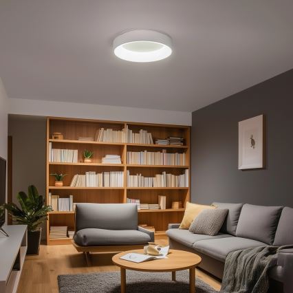 Brilagi - LED stropno svjetlo s mogućnošću prigušivanja FALCON LED/40W/230V 3000-6500K promjer 45 cm bijelo + daljinski upravljač