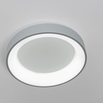 Brilagi - LED prigušiva stropna svjetiljka FALCON LED/80W/230V 3000-6500K Ø 60 cm siva + daljinski upravljač