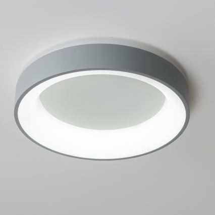 Brilagi - LED prigušiva stropna svjetiljka FALCON LED/80W/230V 3000-6500K Ø 60 cm siva + daljinski upravljač
