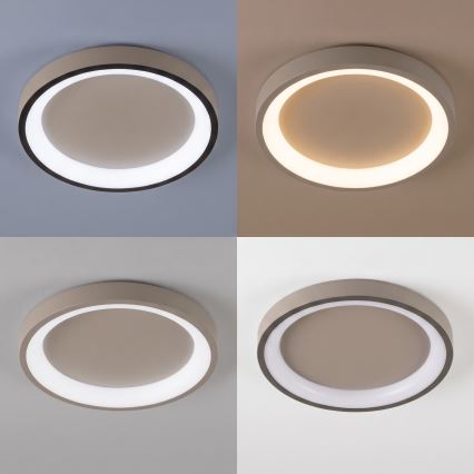 BRILAGI - LED prigušiva stropna svjetiljka FALCON SLIM LED/42W/230V 3000-6500K Ø 50 cm bež + daljinski upravljač