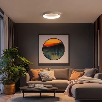 BRILAGI - LED prigušivo stropno svjetlo FALCON SLIM LED/42W/230V 3000-6500K pr. 50 cm bijelo/bež + daljinski upravljač