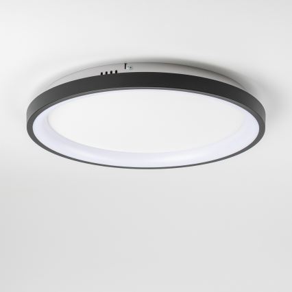 Brilagi - LED stropna svjetiljka s prigušivanjem FALCON SLIM LED/42W/230V 3000-6500K Ø 50 cm crna + daljinski upravljač