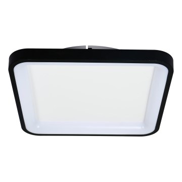 Brilagi - LED prigušivo stropno svjetlo FALCON SLIM LED/50W/230V 3000-6500K 50x50 cm crno + daljinski upravljač